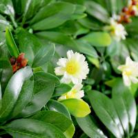 uploads/erp/collection/images/Home Garden/CongDing/XU0610898/img_b/XU0610898_img_b_3
